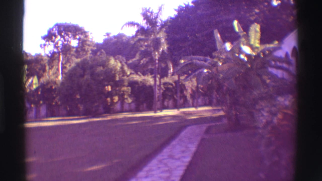 1971 Mauna Ulu home-movie frame showing a sunny roadside garden with clipped grass, palms, and broad tropical leaves.