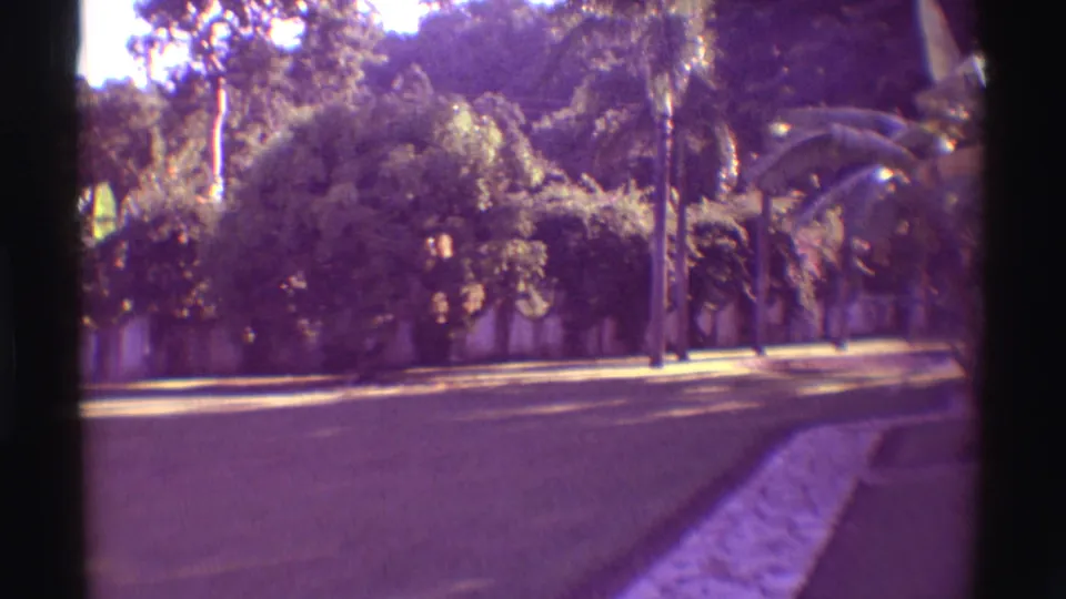 1971 Mauna Ulu 8mm frame showing a landscaped tropical roadside with palms, lawn, curb, and dense plantings.
