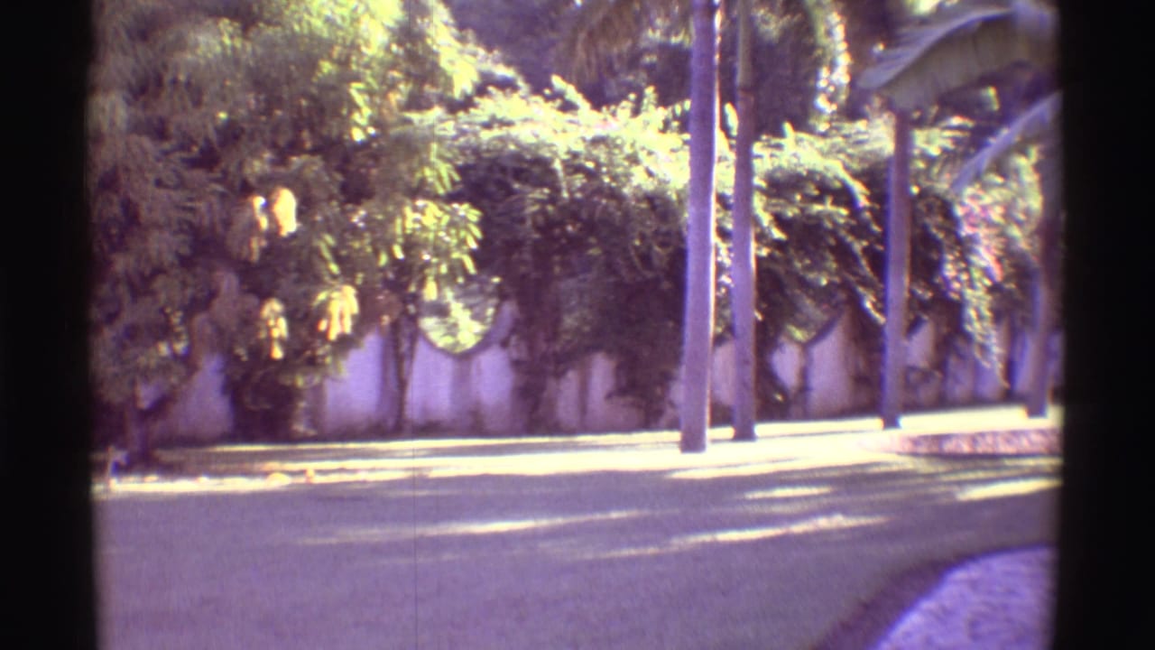 1971 Mauna Ulu home-movie frame with dense tropical garden planting, palm trunks, curb, and paved roadside in strong light.