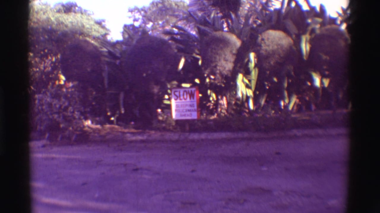 Roadside slow sign partly framed by tropical foliage.