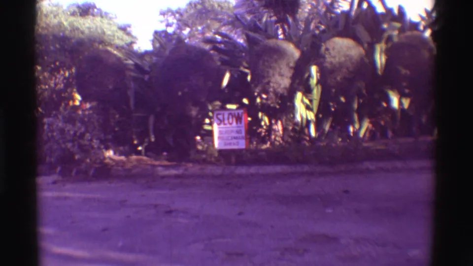 1971 Hawaii 8mm frame with a roadside SLOW sign set against dense tropical planting and a paved road.