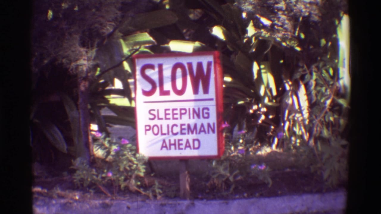 Roadside sign reading slow sleeping policeman ahead beside tropical foliage.