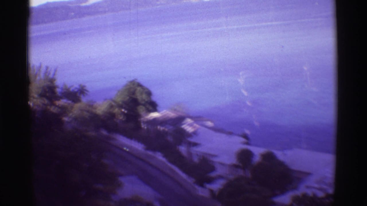 Blue water and distant hills seen past tropical vegetation and a curving road.