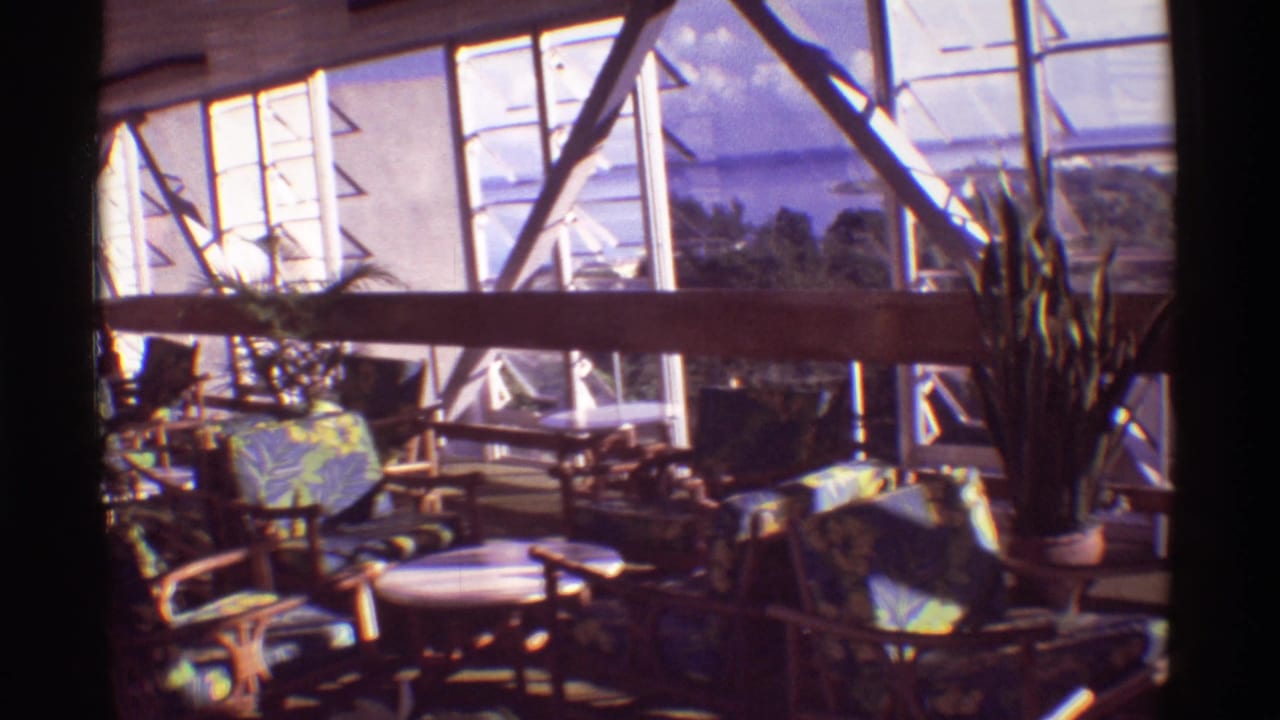 Sunlit restaurant interior with wooden chairs, tropical cushions, potted plants, and large windows.