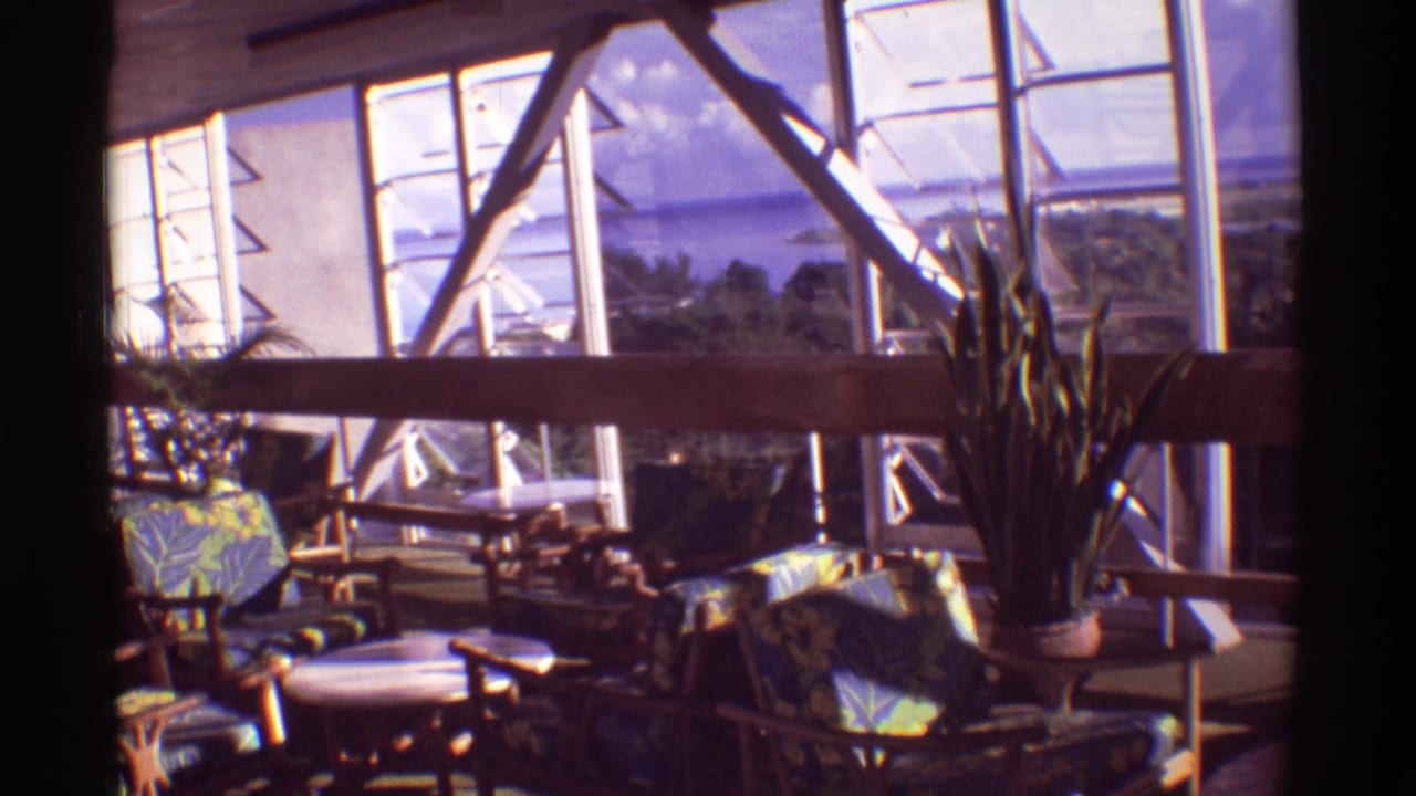 Restaurant seating area with tropical cushions, potted plant, beams, and bright window view.