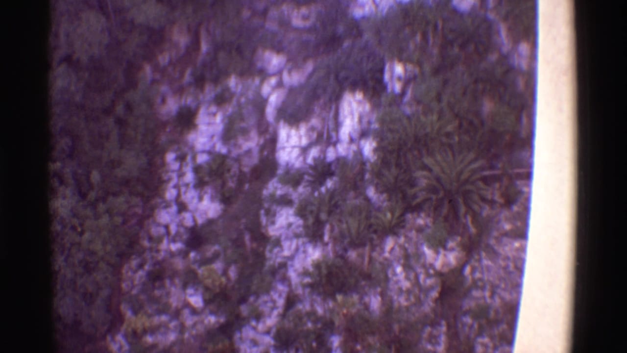 1971 Hawaii home-movie frame looking toward rough green and rocky terrain, likely from the restaurant's exterior view.