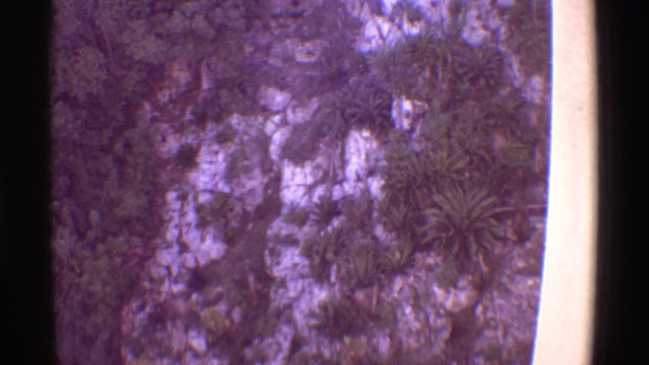 Rocky tropical hillside seen past dark vertical lift-frame edges.