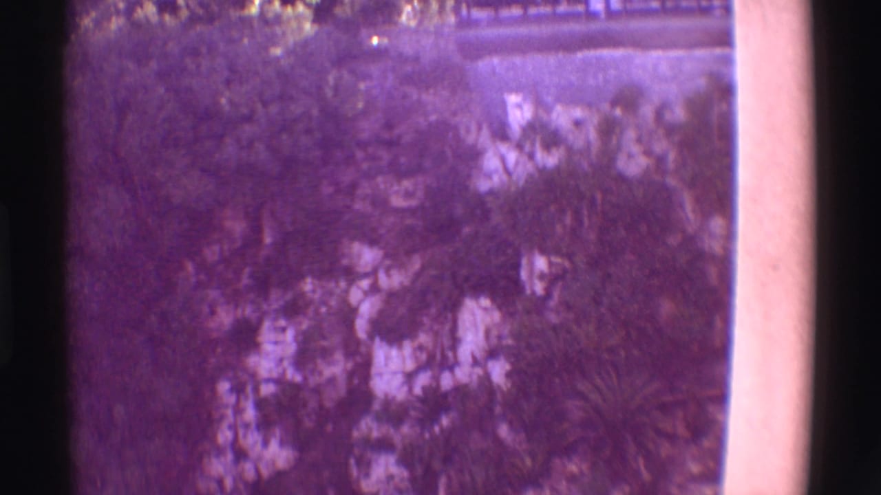 Tropical cliff face with bridge or walkway near the top edge.