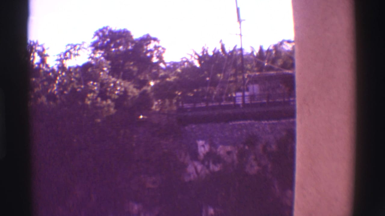 1971 Hawaii home-movie frame showing a flagpole, raised walkway, trees, and a rocky planted slope from an elevated moving vantage.