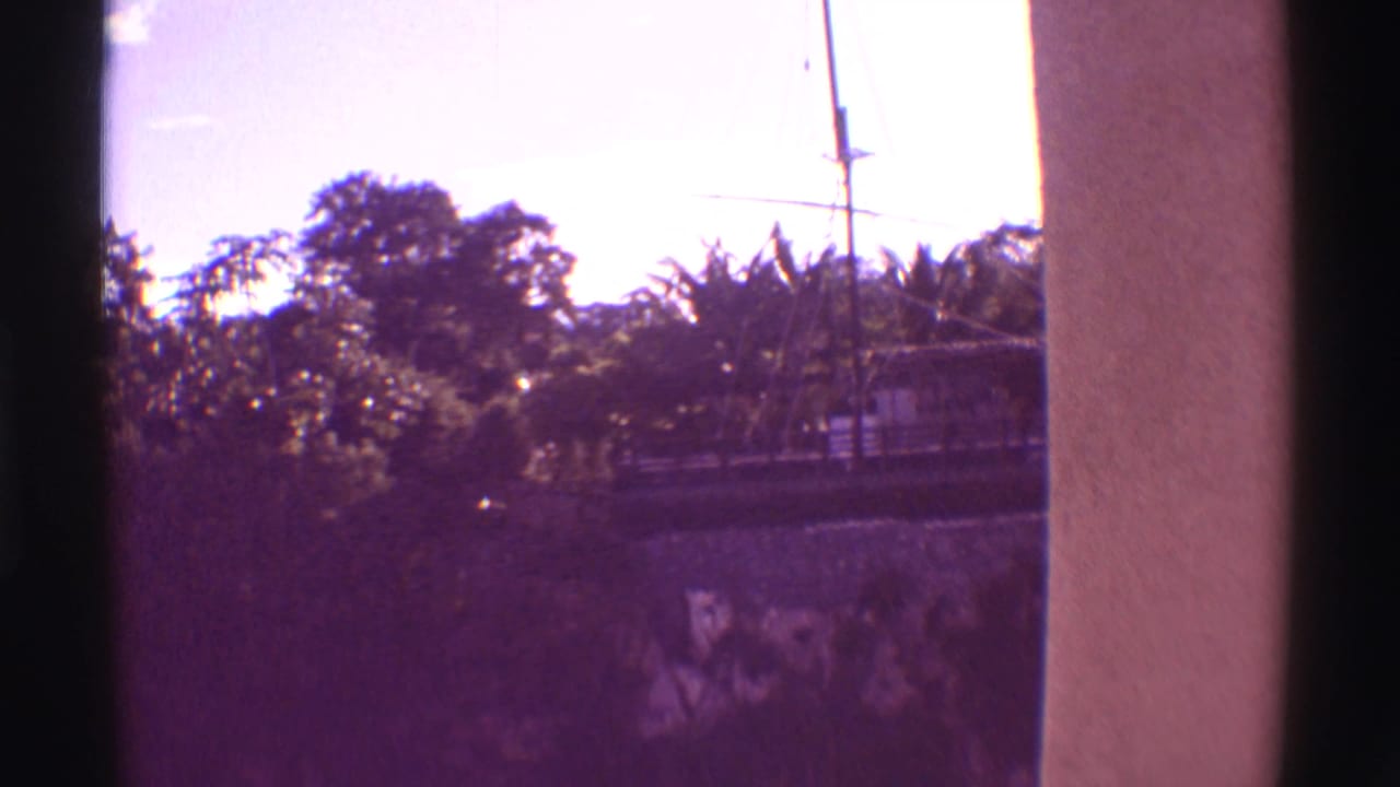 Docked sailboat mast and rigging behind tropical foliage, framed by dark vertical building edges.