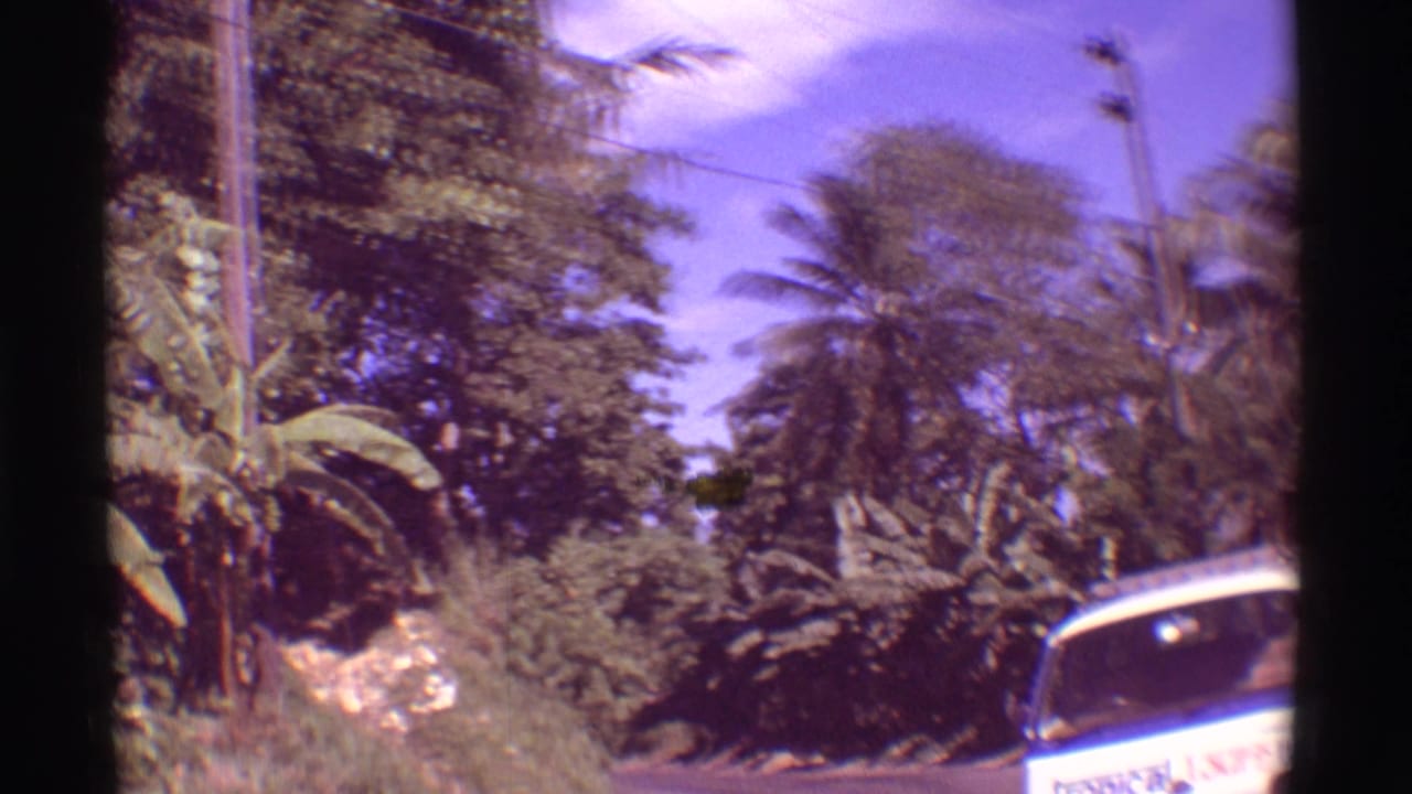 A roadside view in Mauna Ulu shows palms, shrubs, banana plants, and the front edge of a white tour van entering frame.
