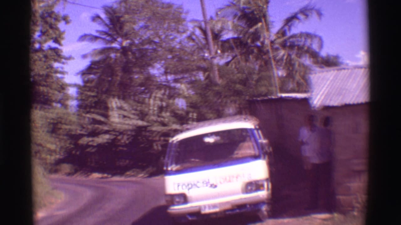 A white van with tropical tour lettering is parked beside a road near a small building, with two people nearby and palms behind it.