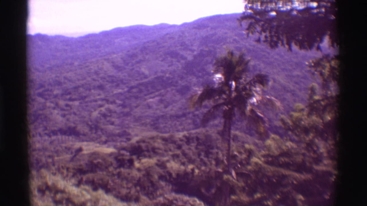 Mauna Ulu, Hawaii landscape view with forested volcanic hills, palms, and bright sky in 1971 8mm footage.
