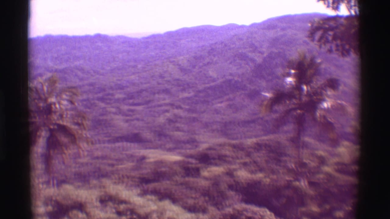 Palm trees and rolling jungle hills seen through dark 8mm frame borders.