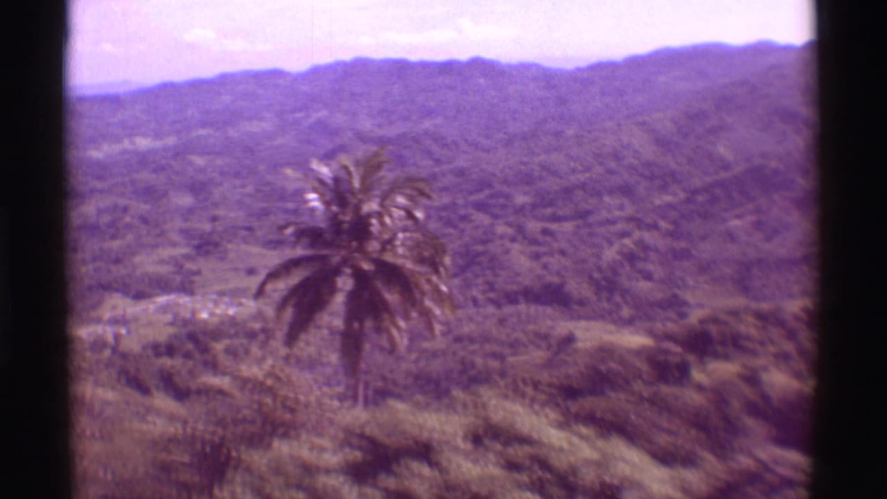 A tall palm stands over the Mauna Ulu hillside view, with jungle growth, valley terrain, and hazy ridges in the distance.