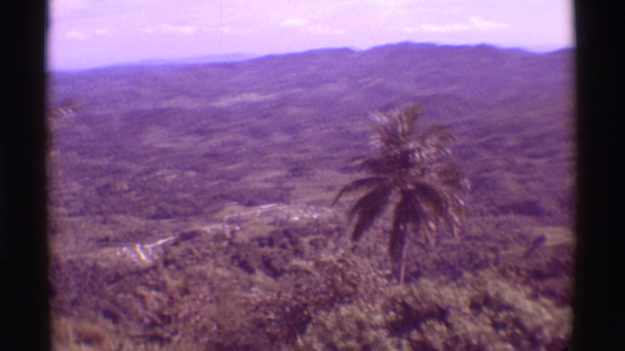 The 8mm pan shows a palm tree over green Mauna Ulu hills, with a pale road or track cutting through the valley below.