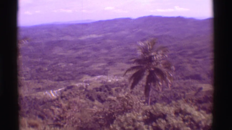 The 8mm pan shows a palm tree over green Mauna Ulu hills, with a pale road or track cutting through the valley below.