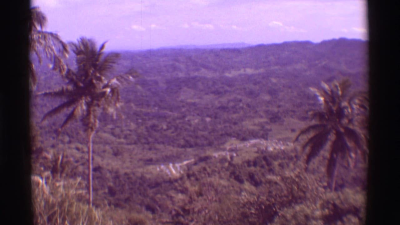 Wide 1971 Hawaii landscape frame with palms at the edges, jungle-covered hills, a distant road, and hazy ridgelines.