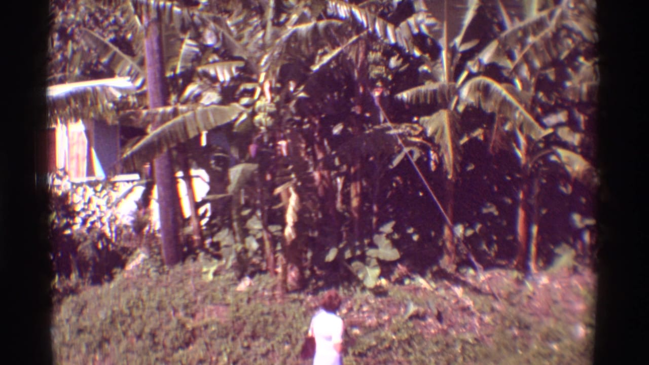1971 Mauna Ulu, Hawaii 8mm frame showing a person near dense banana plants and tropical vegetation.