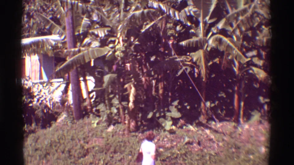 1971 Mauna Ulu, Hawaii 8mm frame showing a person near dense banana plants and tropical vegetation.