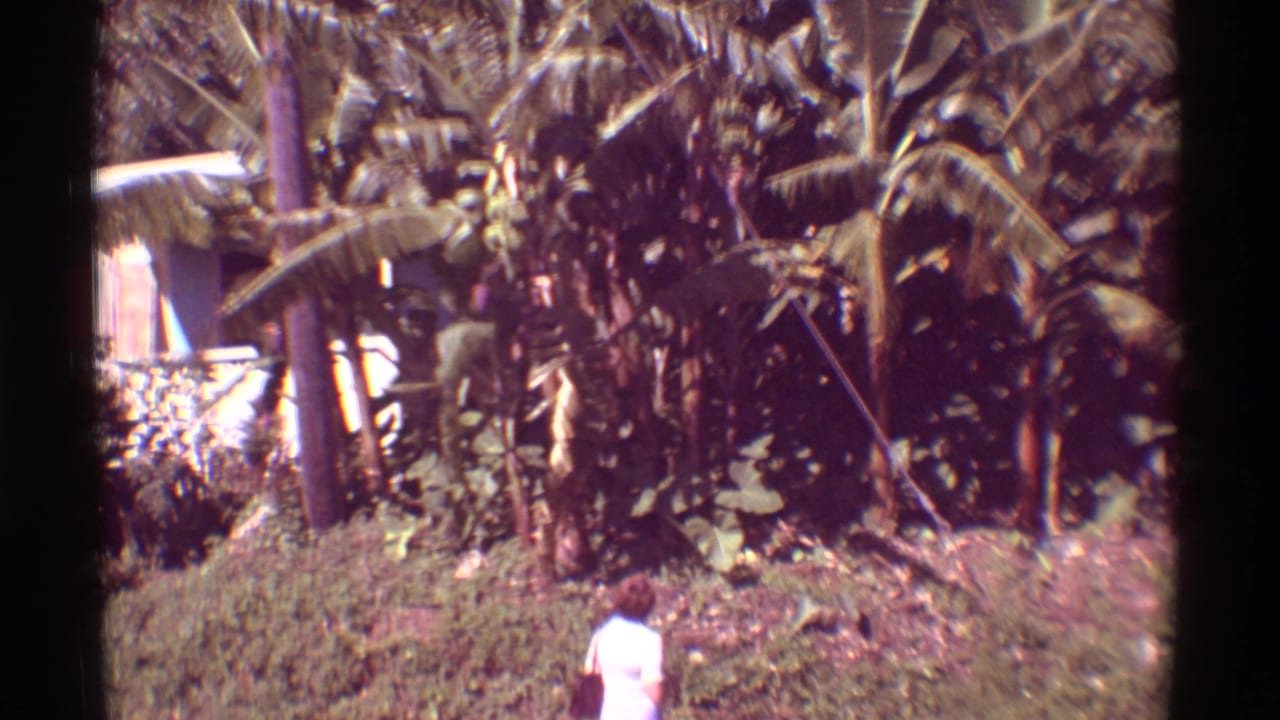 Person seen from behind near dense tropical foliage and banana plants.