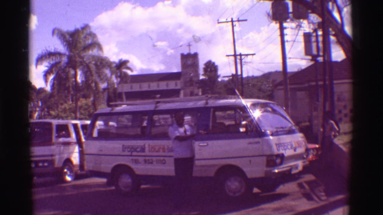 White tour van parked on a tropical street with a man standing near its open door.
