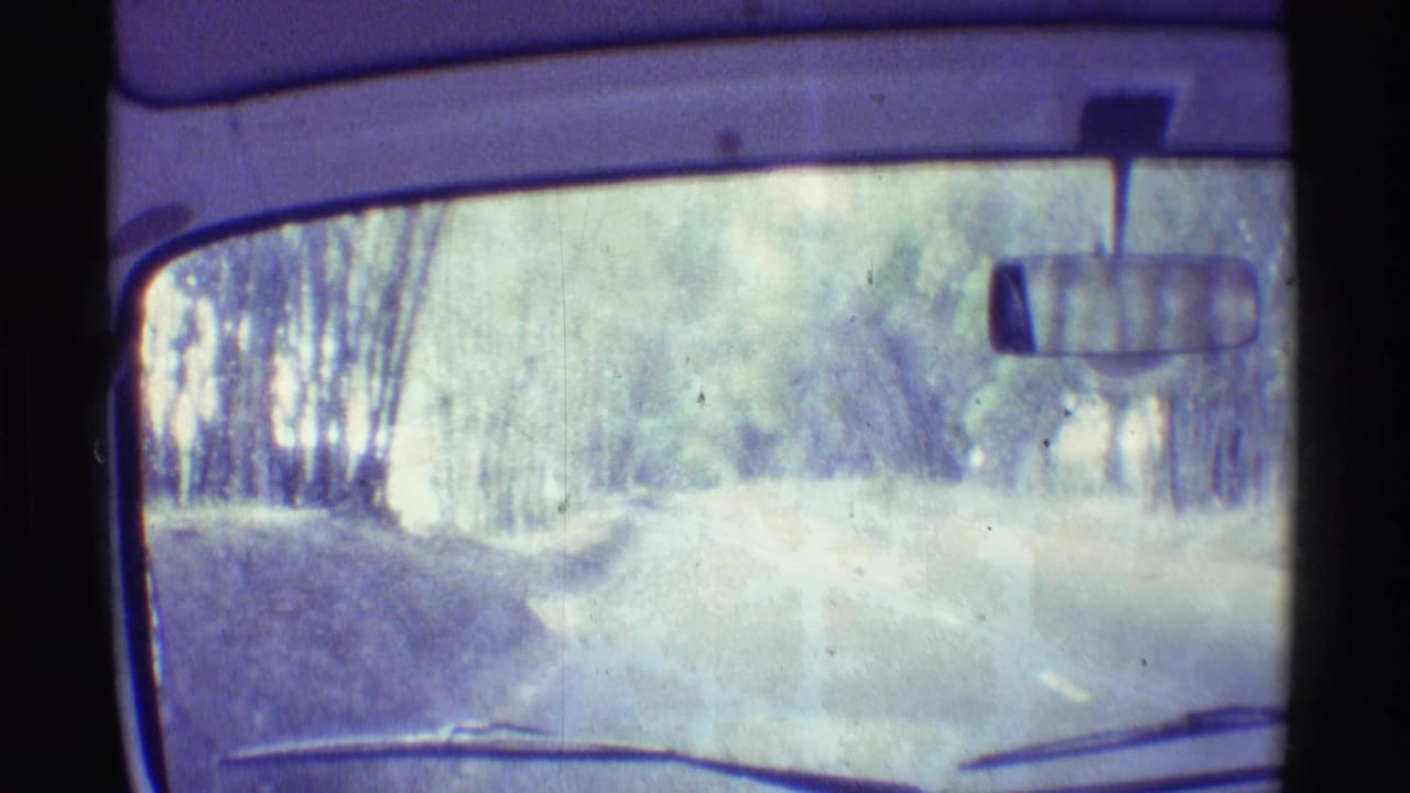 Passenger-view 8mm frame from inside a moving vehicle, looking through the windshield toward a tree-lined road in Hawaii.
