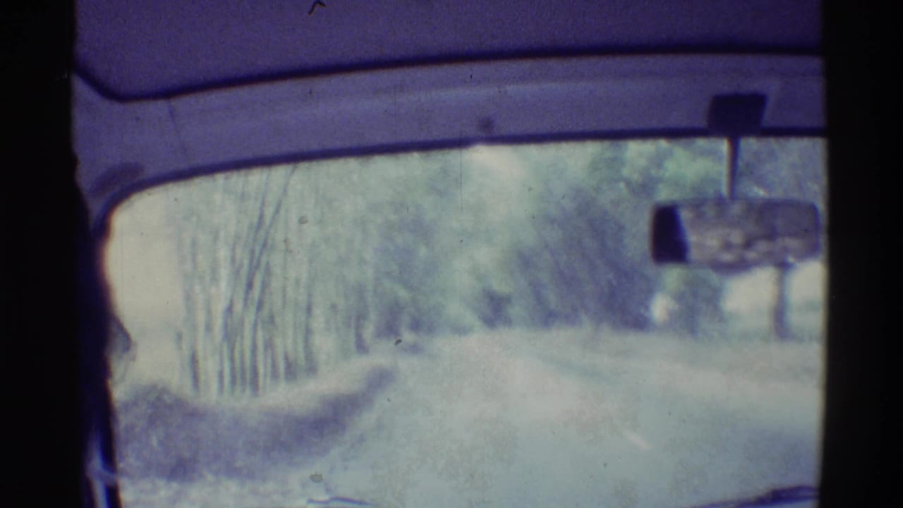 Soft 1971 Hawaii road POV from inside a vehicle, with the rearview mirror and windshield framing a bright tree-lined route.