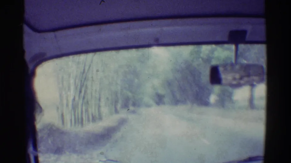 Soft 1971 Hawaii road POV from inside a vehicle, with the rearview mirror and windshield framing a bright tree-lined route.