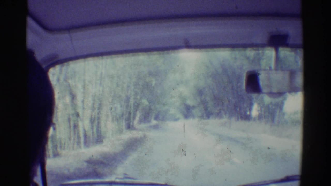 View through a car windshield along a narrow tree-lined road with a rearview mirror visible.