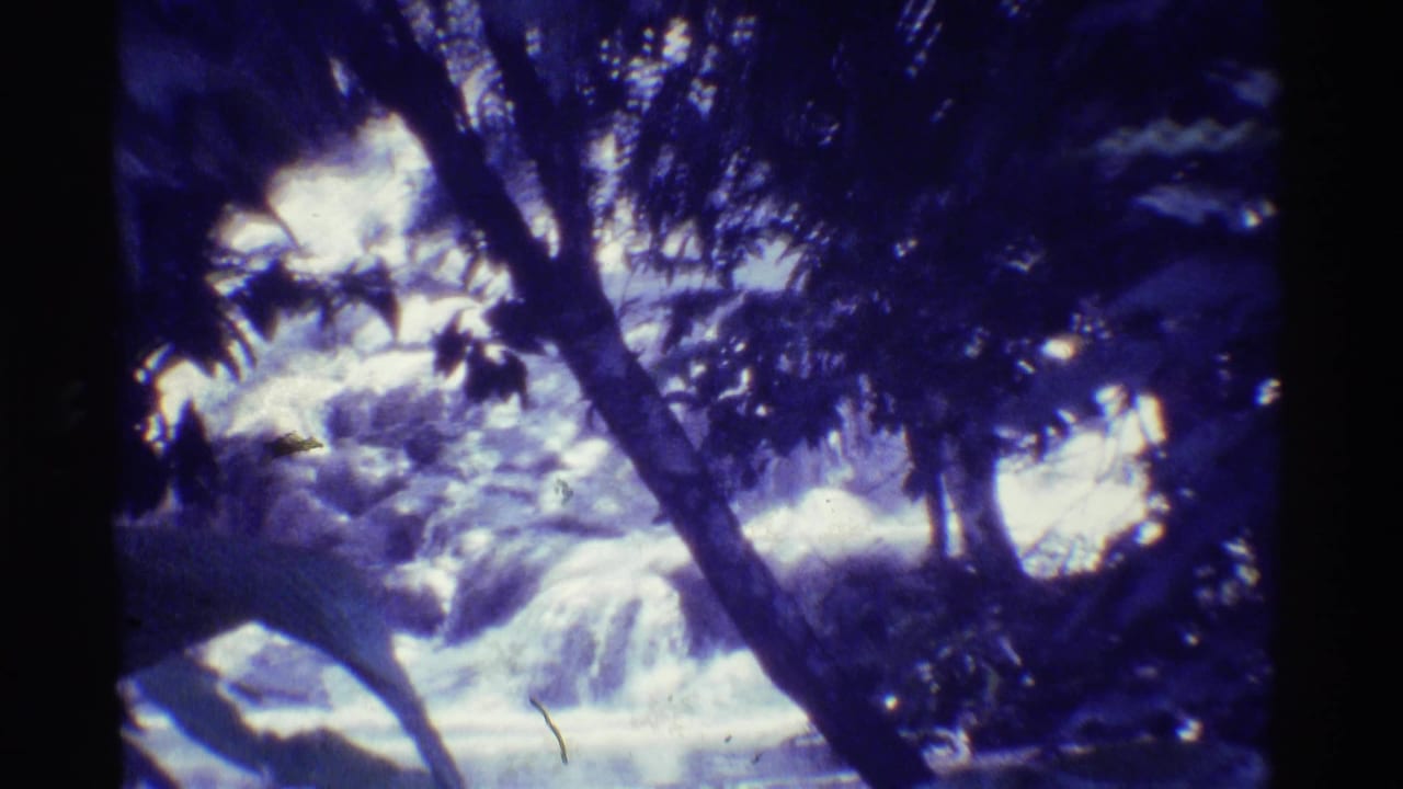 1971 Mauna Ulu, Hawaii 8mm frame of a rushing stream seen through dark tree trunks and dense tropical leaves.