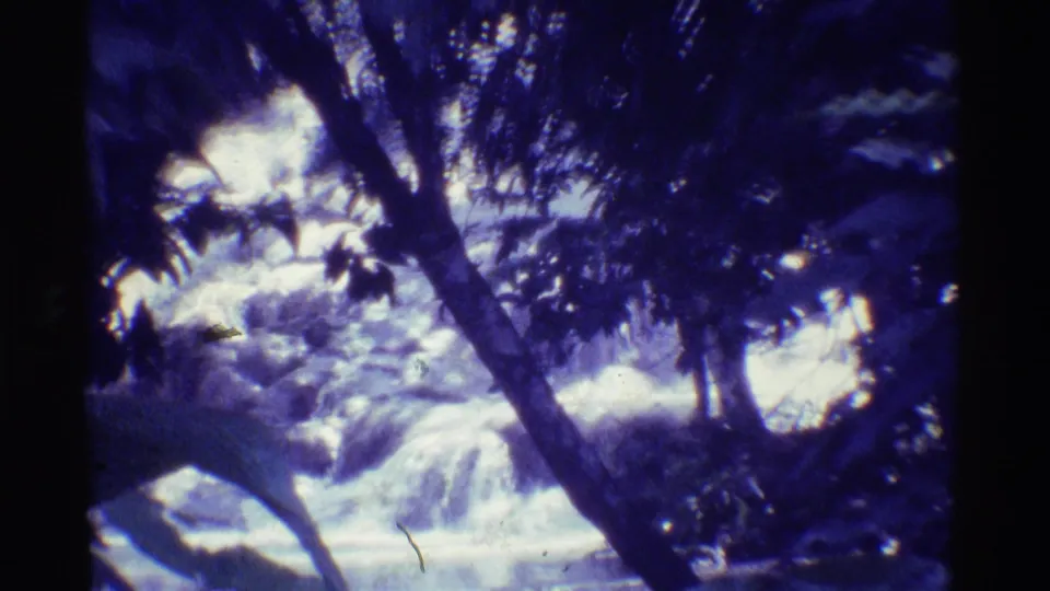 1971 Mauna Ulu, Hawaii 8mm frame of a rushing stream seen through dark tree trunks and dense tropical leaves.
