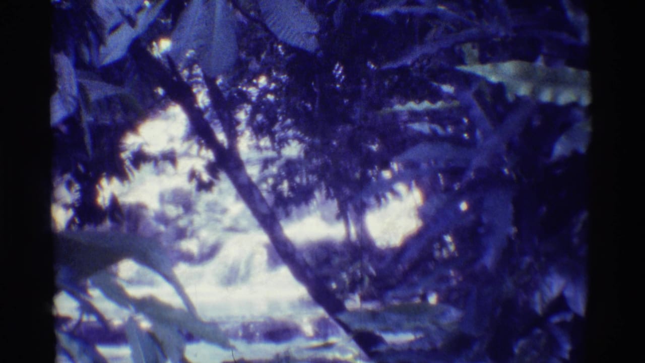 1971 Mauna Ulu, Hawaii home-movie frame showing a bright rushing stream framed by dark tropical foliage and rocks.