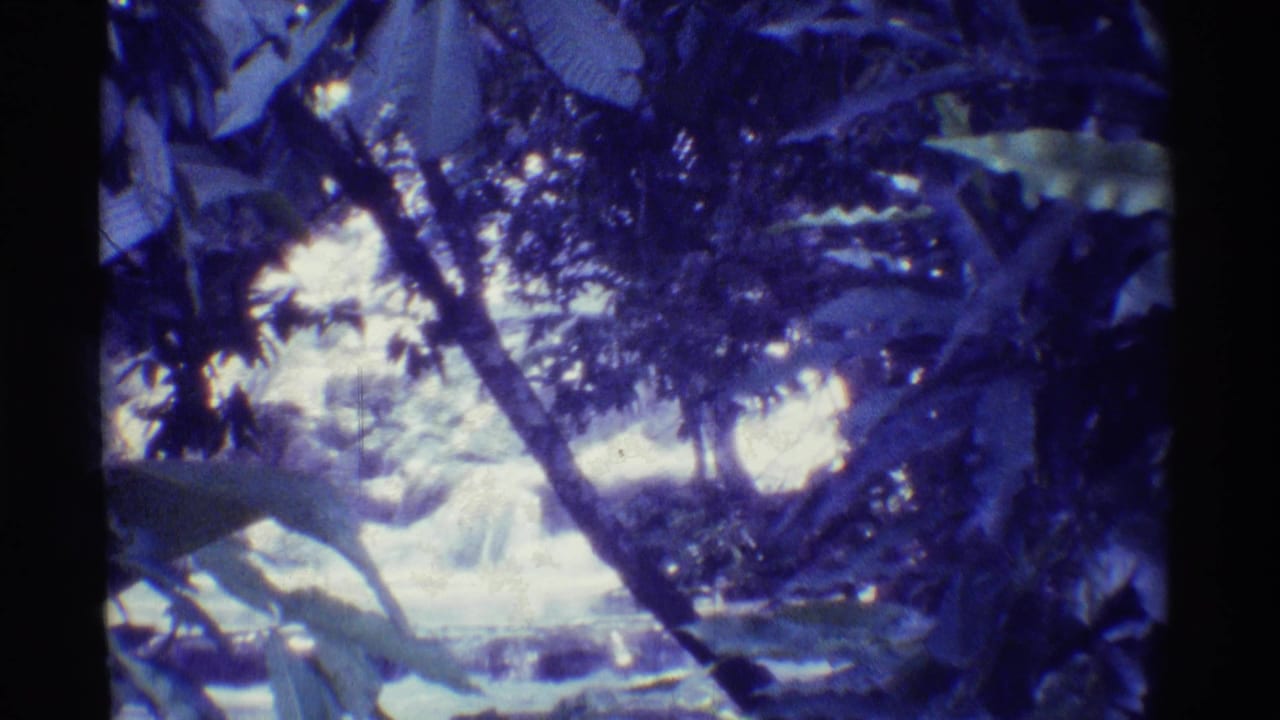 Blue-purple 8mm frame of a shaded jungle stream and small waterfall behind leaves.