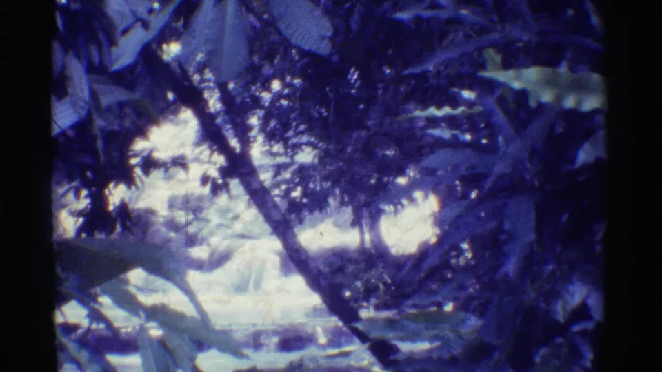 1971 Mauna Ulu, Hawaii 8mm frame showing a shaded jungle waterfall and stream partly obscured by tropical foliage.