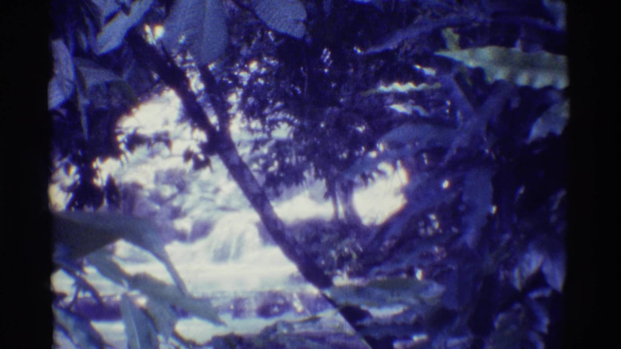 Shaded tropical waterfall framed by leaves, branches, rocks, and bright water.