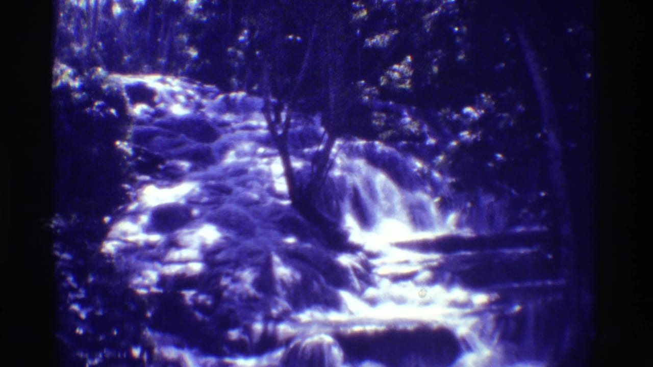 Rocky forest stream with small cascades and dark trees around it.
