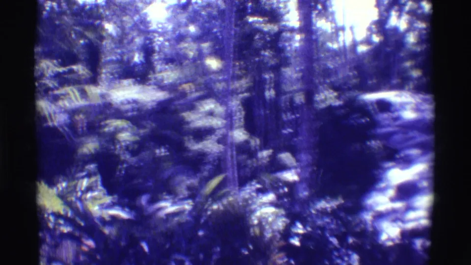Handheld 8mm frame from 1971 Hawaii showing blurred jungle vegetation, tree trunks, and a bright stream edge.
