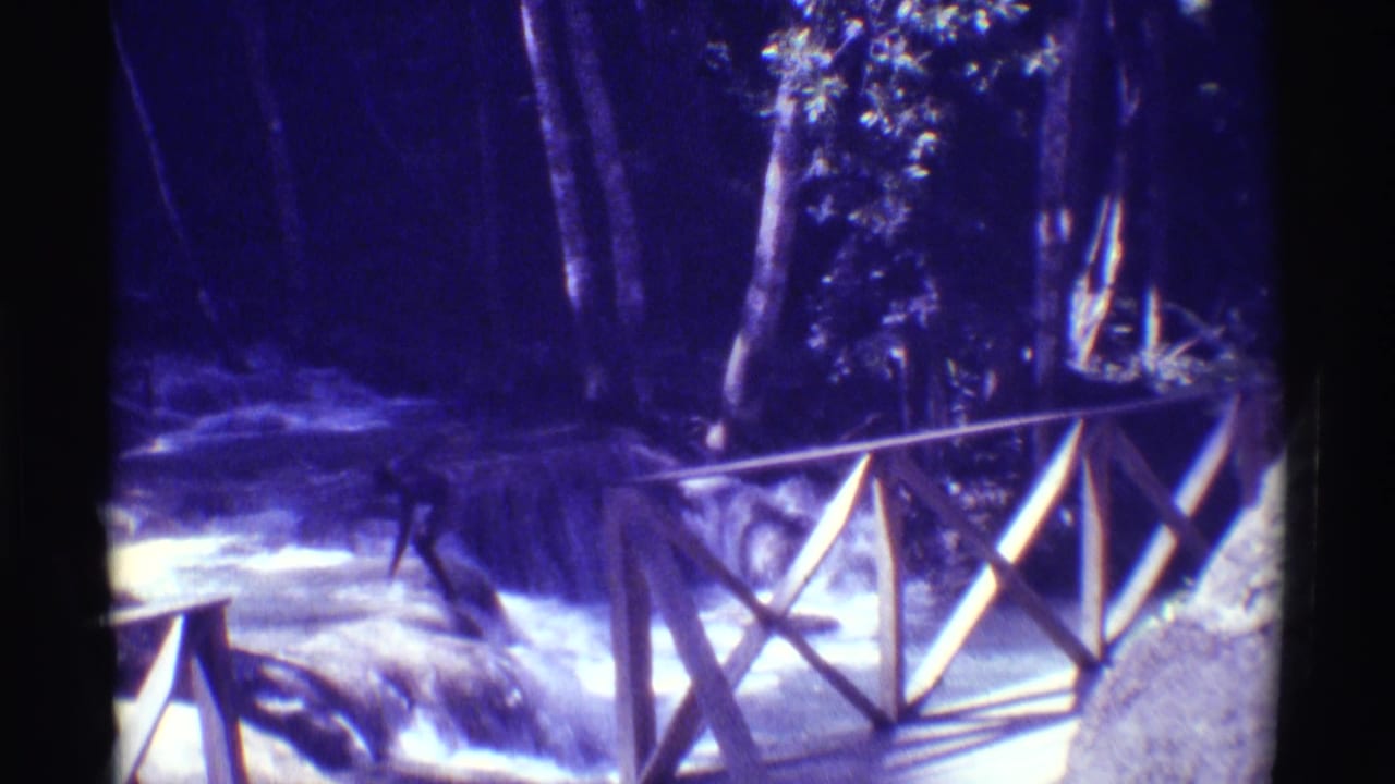 Mauna Ulu, Hawaii stream and wooden bridge are seen in a soft 1971 8mm frame with dark forest shade and bright water highlights.
