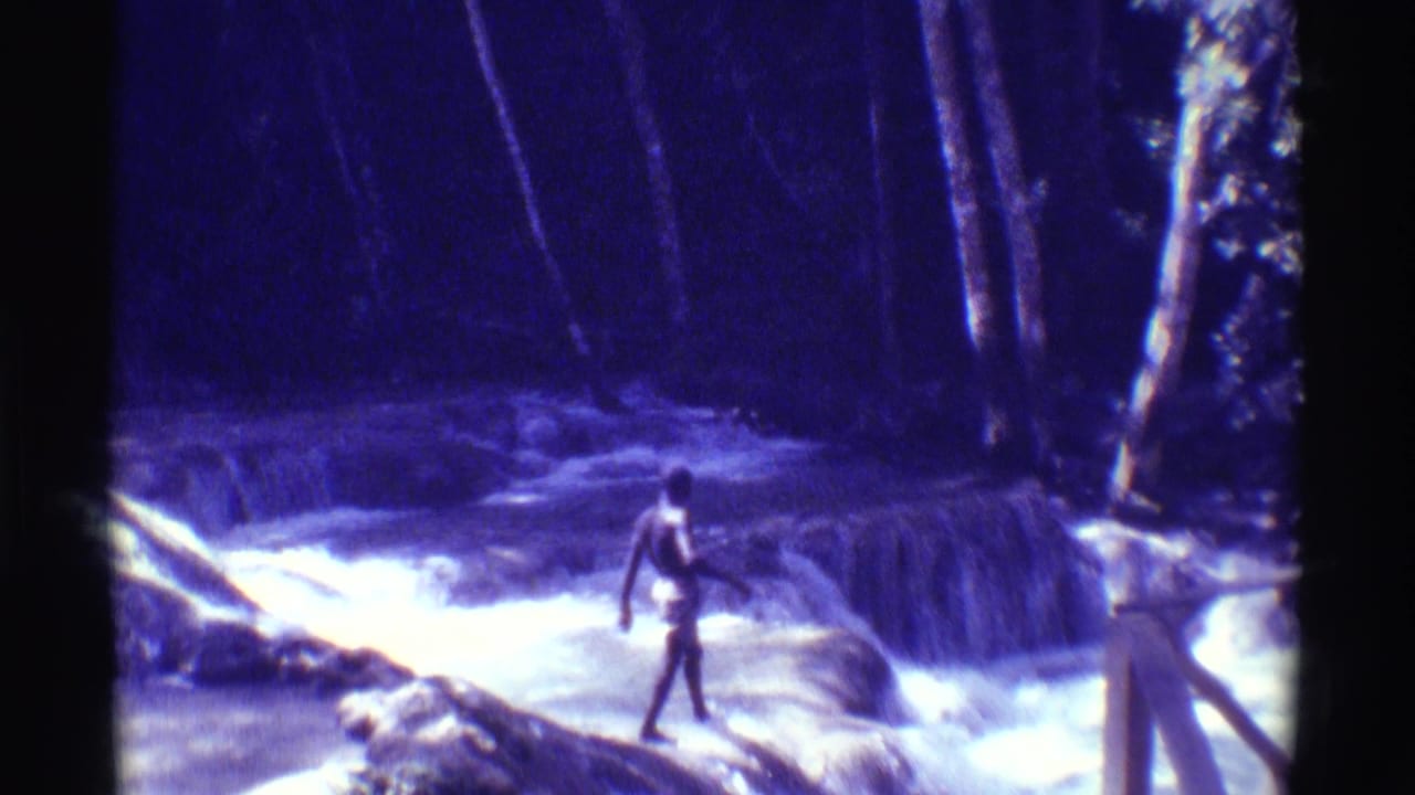 Person in yellow shorts wading through bright rushing water in a wooded stream.