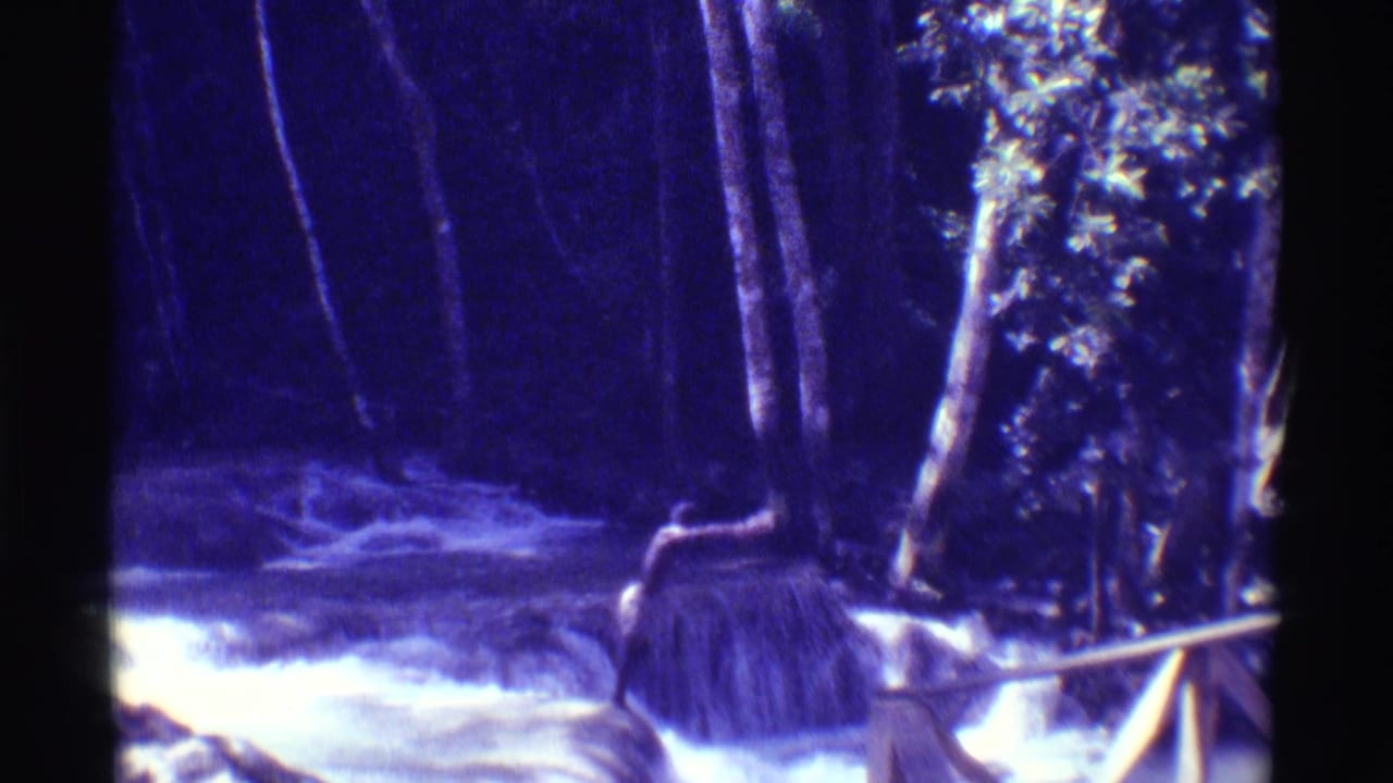 1971 Hawaii home-movie still showing a person in the water below a low cascade, with trees and a wooden railing in the foreground.