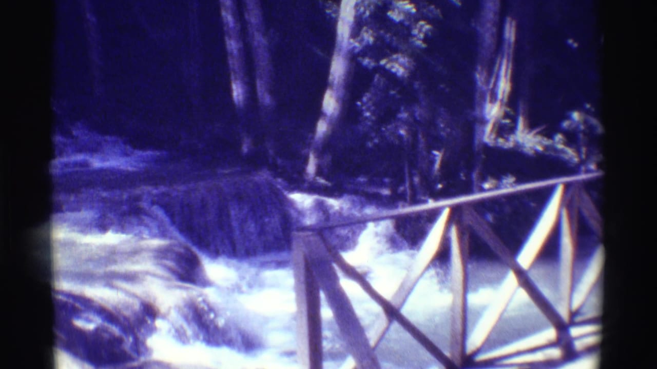 1971 Hawaii frame of a person standing near rushing water and rocks, partly viewed past a wooden railing in a forest setting.