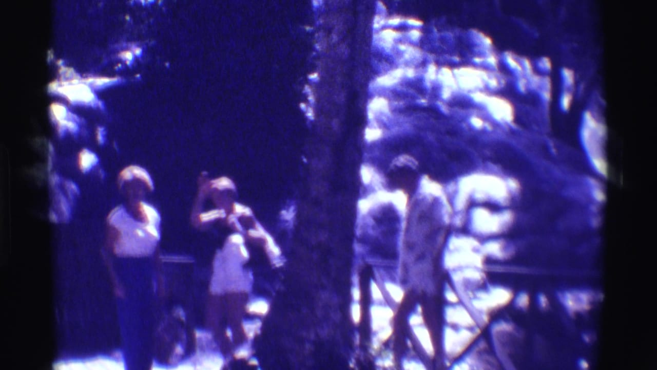 Three people stand by a railing near a bright waterfall, partly framed by a tree trunk.