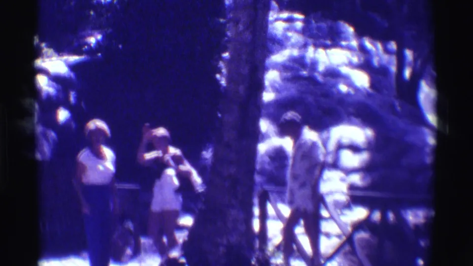 1971 Hawaii 8mm frame showing three visitors near a railing and waterfall, with a tree trunk dividing the soft purple-tinted scene.