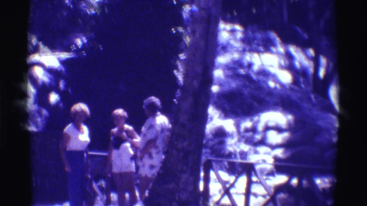 Purple-tinted 8mm frame from 1971 Hawaii showing three visitors grouped near a tree and railing before a bright waterfall.