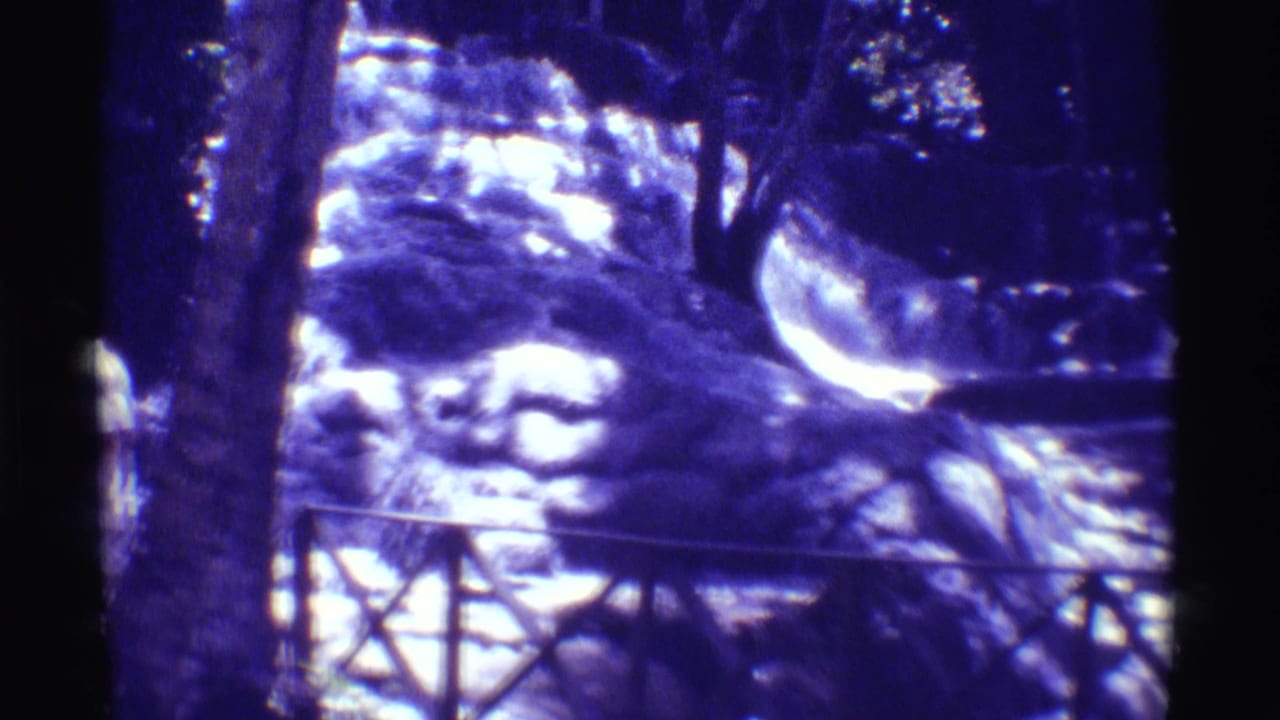 1971 Hawaii 8mm frame shifting away from the people toward the waterfall, railing, rocks, and shaded trees at the overlook.
