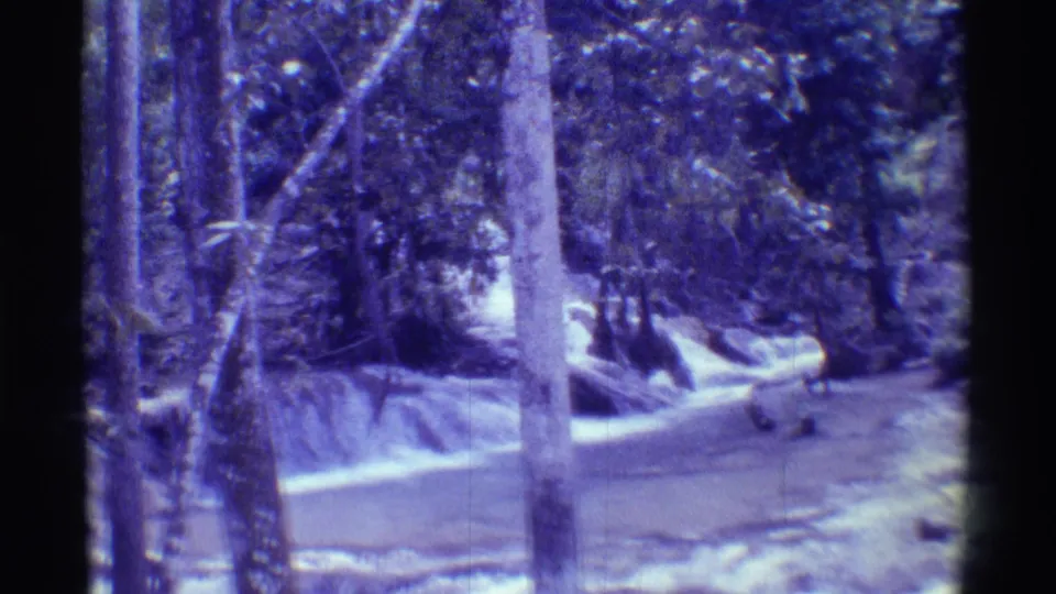 1971 Mauna Ulu, Hawaii 8mm frame looking through trees toward a pale stream and surrounding vegetation.
