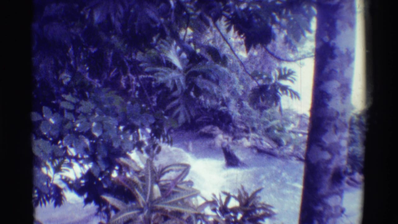 1971 Mauna Ulu, Hawaii 8mm frame showing a small stepped waterfall, stream water, palms, broadleaf plants, and dark tree trunks.
