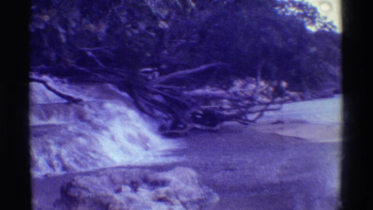 Stepped waterfall beside a stream with fallen branches and shaded trees.
