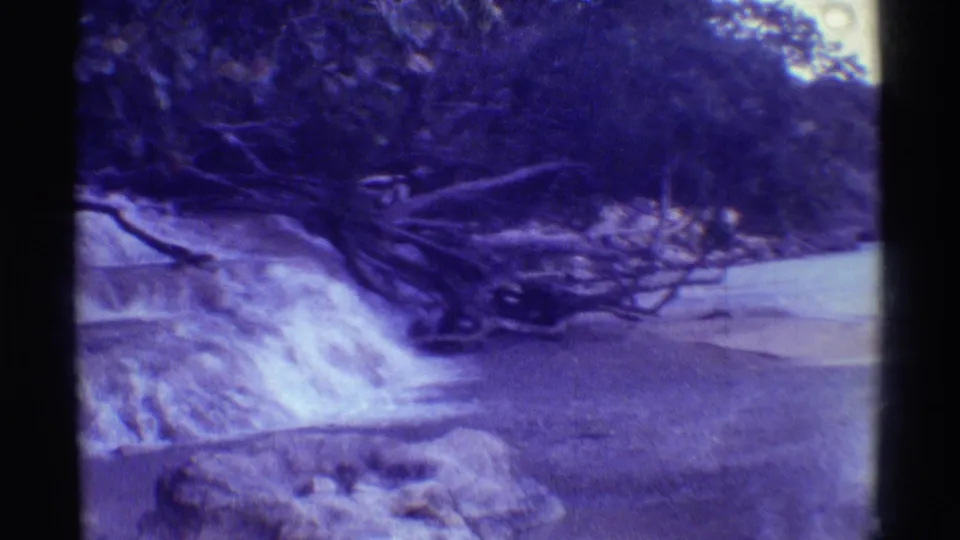 1971 Mauna Ulu, Hawaii frame with a small cascade, calm stream surface, fallen tree limbs, and shadowed tropical vegetation.